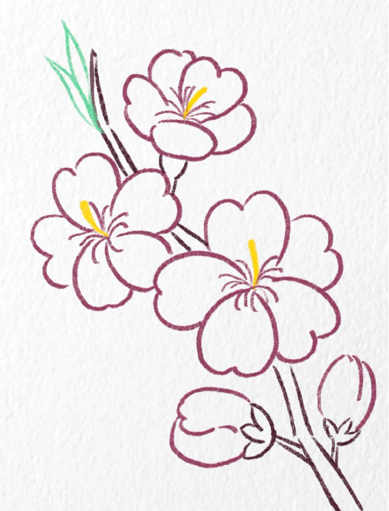 春天的植物简笔画桃花怎么画 一步一步教我画桃花-图片2