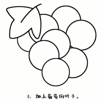 一步一步教我画葡萄简笔画图片大全