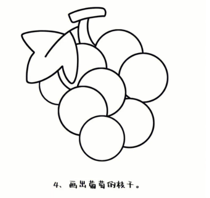 一步一步教我画葡萄简笔画图片大全