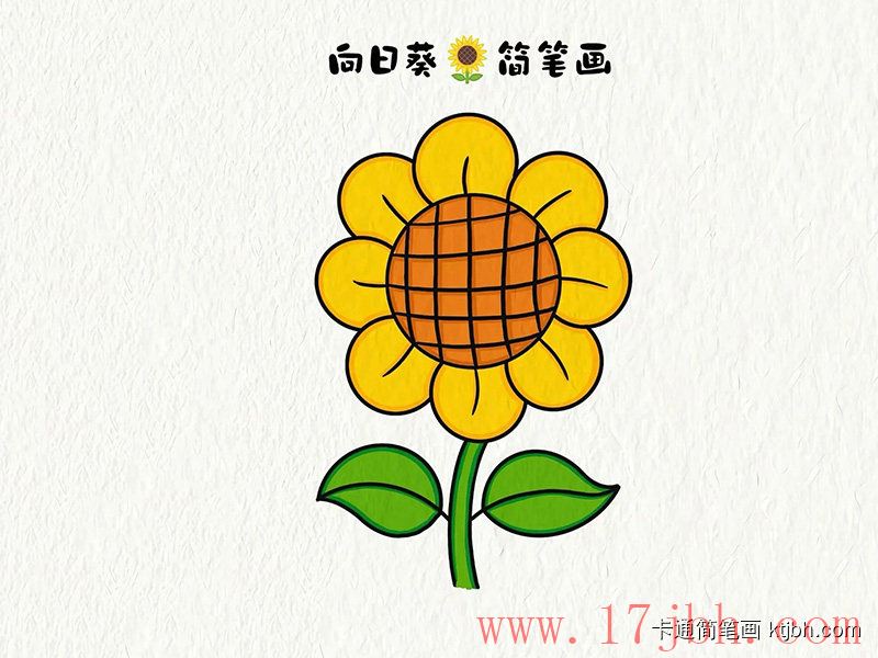 向日葵简笔画画法和步骤 向日葵图片-第4张