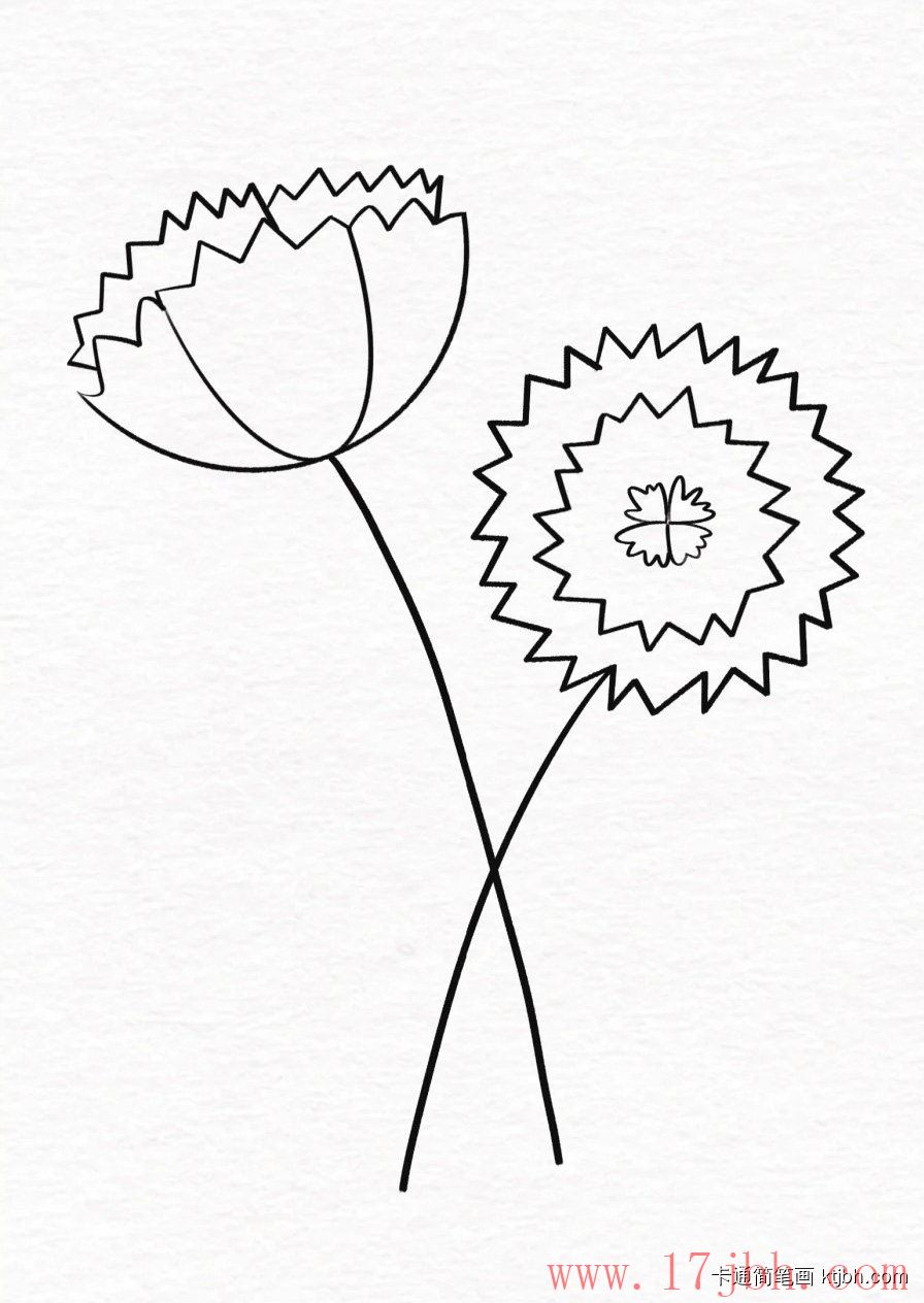 花束简笔画画法和步骤 花束图片-第2张