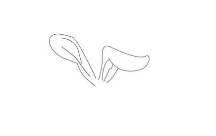 10秒画一只玉兔简单图片大全-图片1