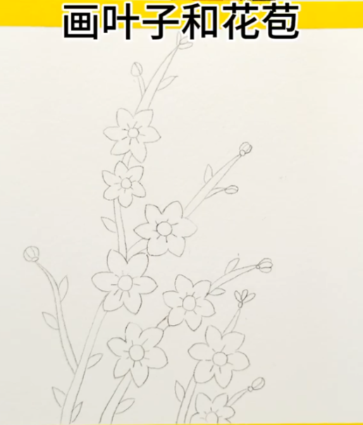 儿童画迎春花的画法简单易画图片-图片1