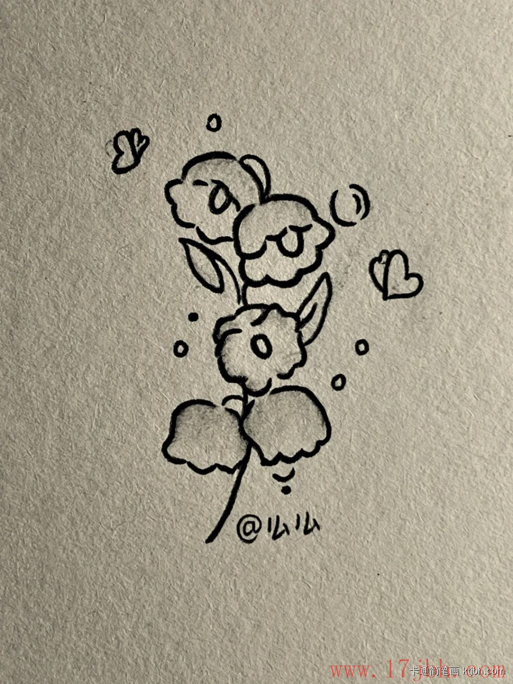 铃兰花简笔画画法和步骤 铃兰花图片-第6张