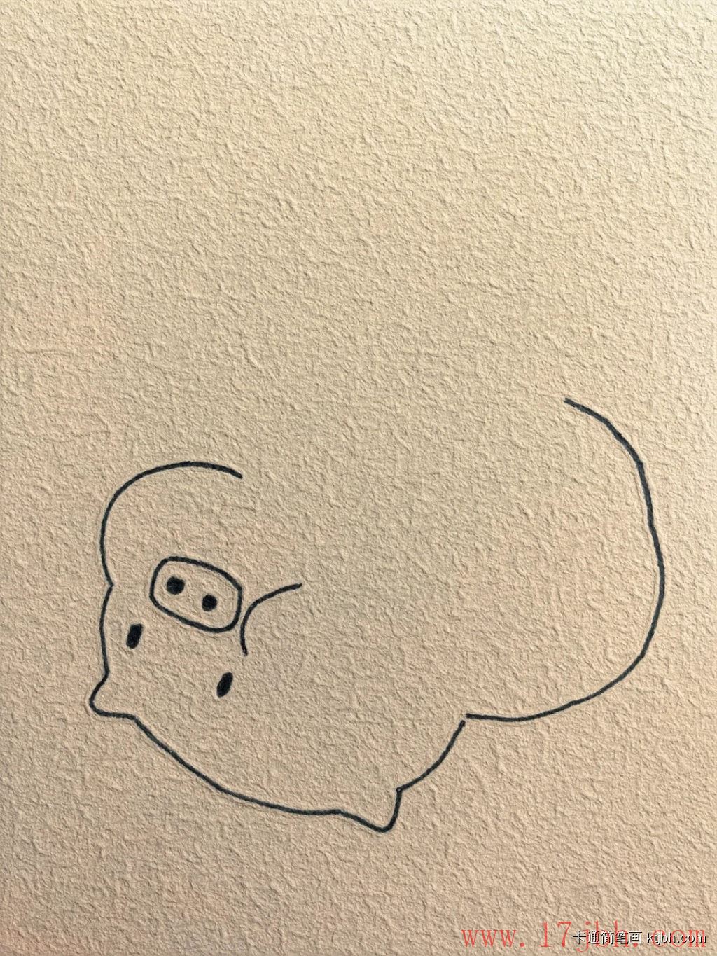 小猪简笔画画法和步骤 小猪图片-第3张