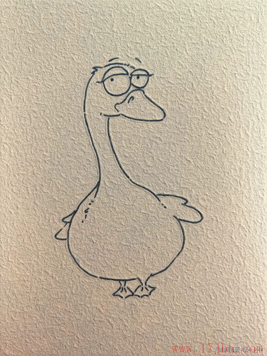 鹅的简笔画画法和步骤 鹅的图片-第5张