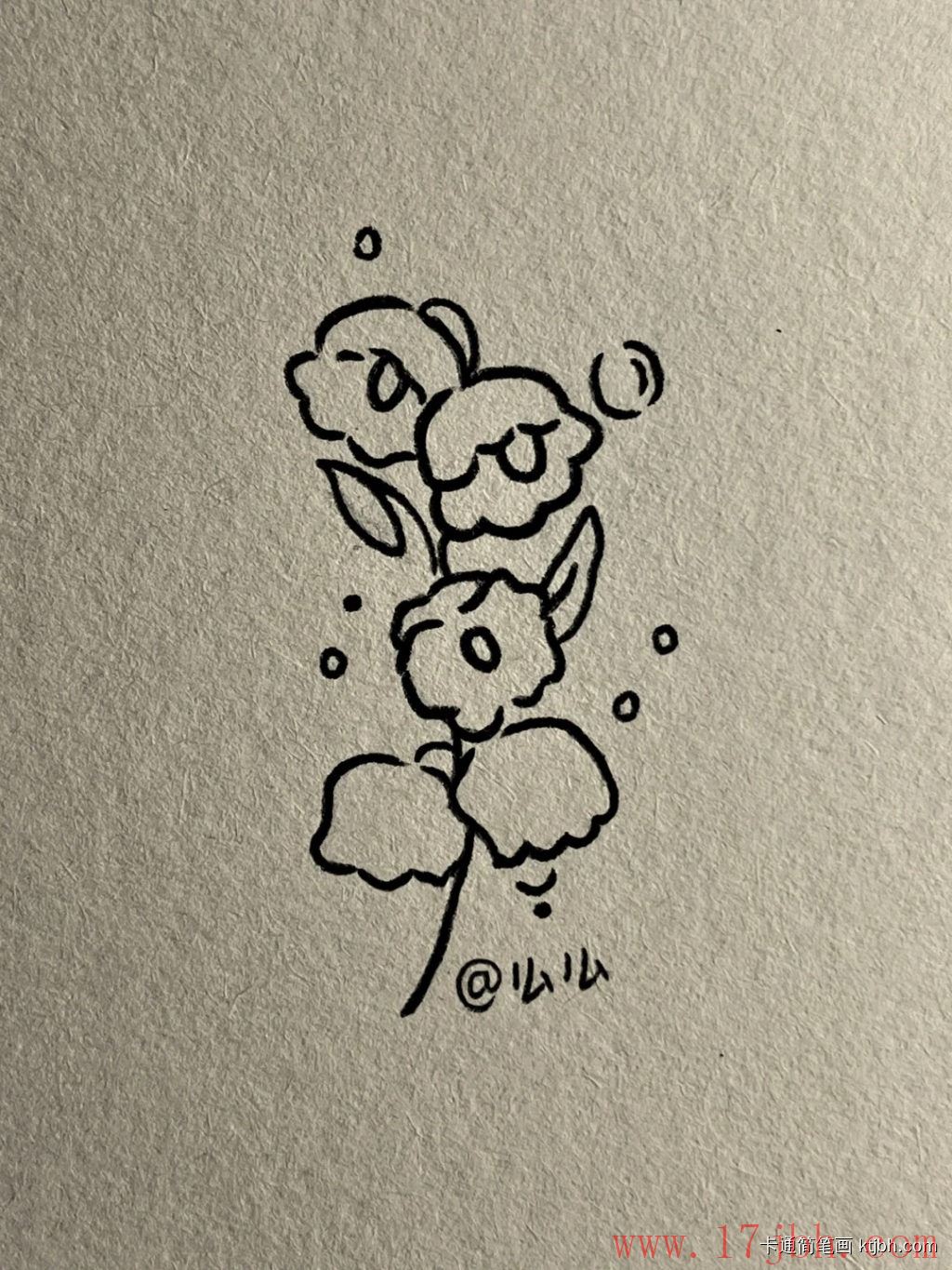 铃兰花简笔画画法和步骤 铃兰花图片-第5张