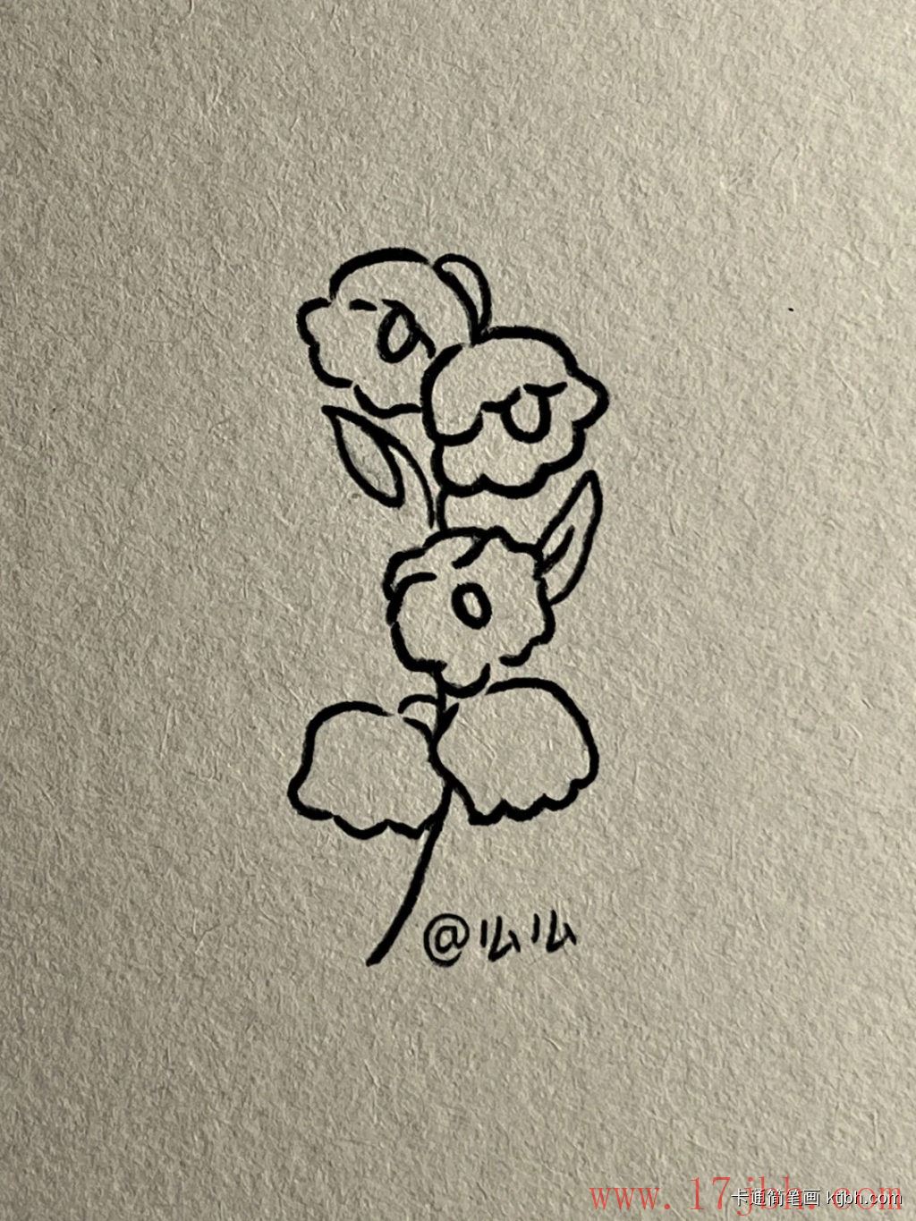 铃兰花简笔画画法和步骤 铃兰花图片-第4张