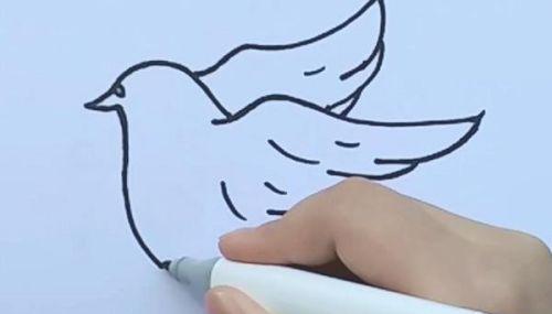 简单易学的彩色鸽子简笔画步骤教程 幼儿也能画得漂亮-2