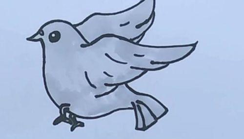 简单易学的彩色鸽子简笔画步骤教程 幼儿也能画得漂亮-4