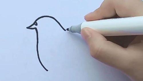 简单易学的彩色鸽子简笔画步骤教程 幼儿也能画得漂亮-1