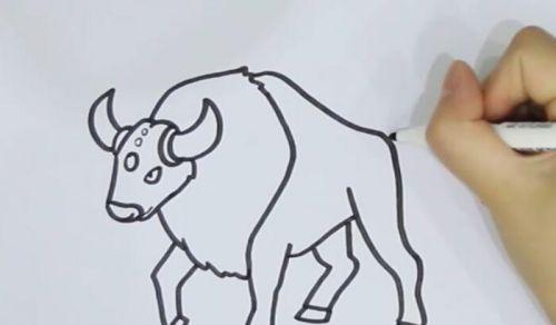 分步教程：如何绘制色彩鲜艳的卡通黄牛简笔画-2